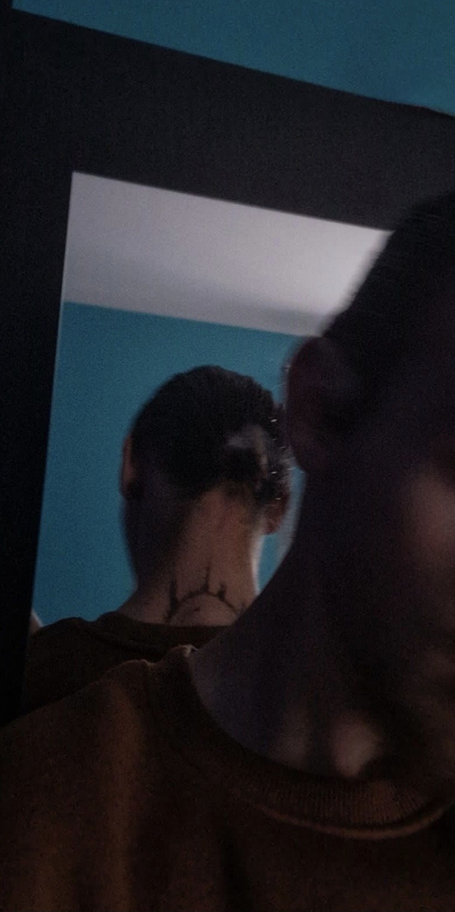 Profilo di Pierre-hugo