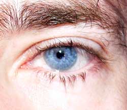 Profilo di Rédouane