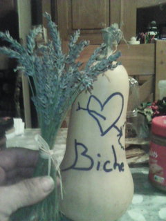 Profilo di Jean-robert