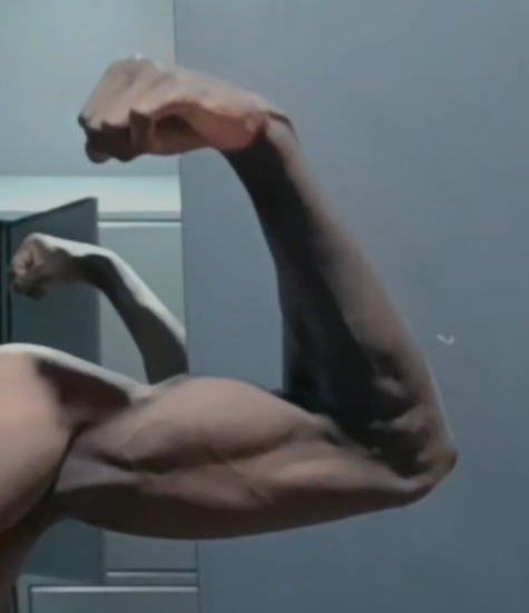 Profilo di Kamardine