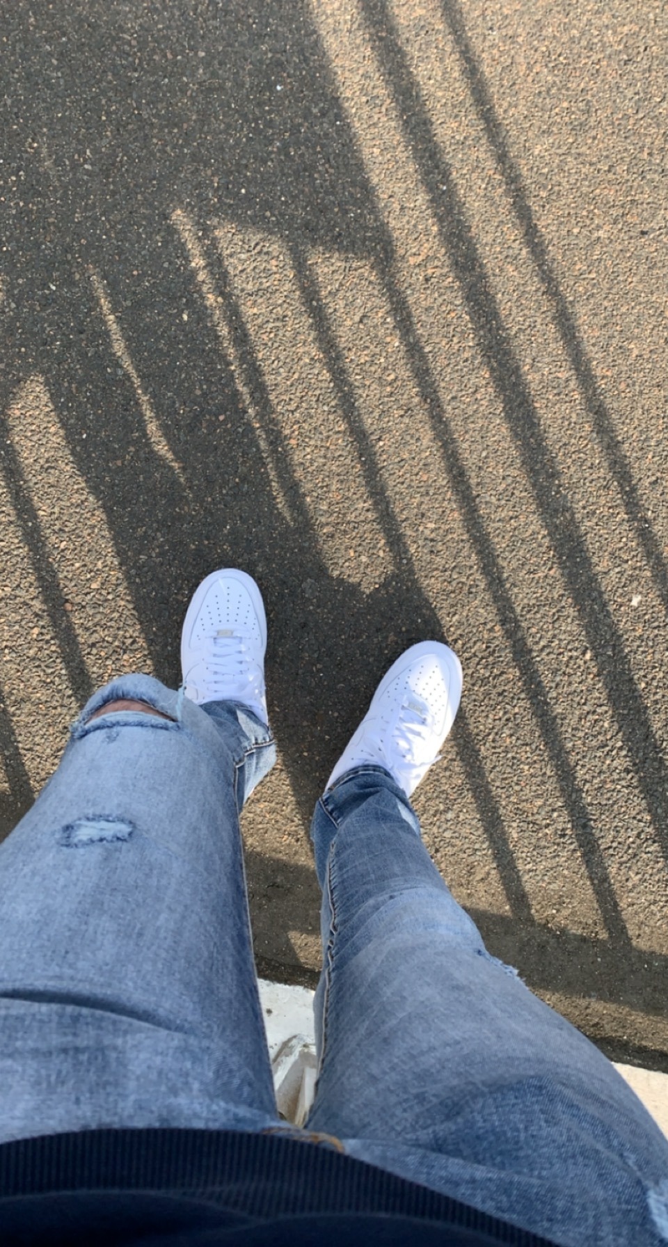 Profilo di Georges-henri